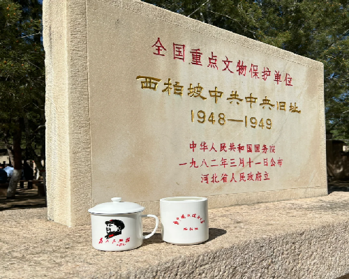 c605c223-fc34-4fab-8a75-68be976ff9c0.png