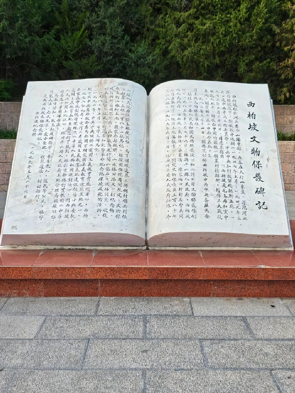 80744656-3c64-4b24-8659-9966888a1622.png